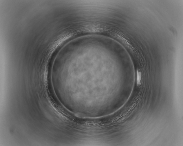 X0000115770627200911131218