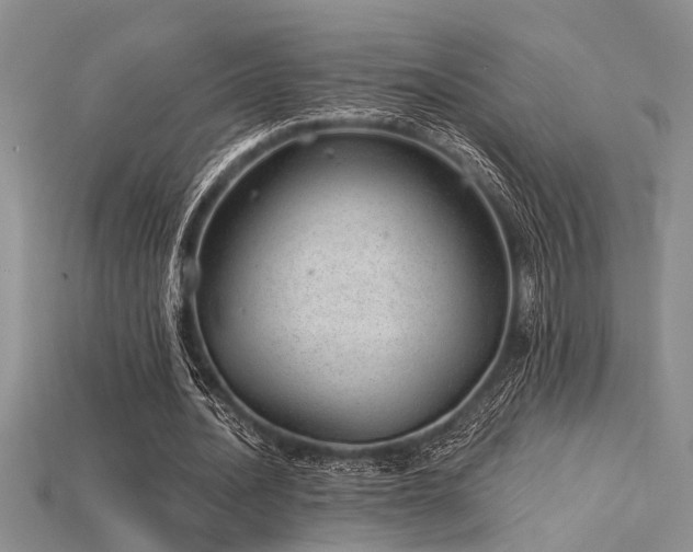 X0000115770628200911131218