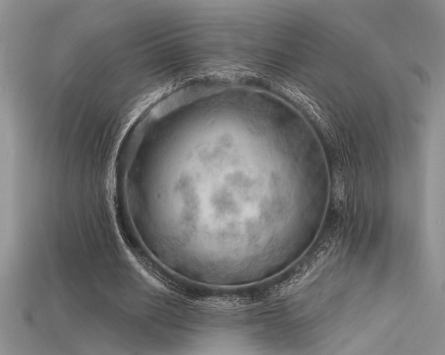 X0000115770630200911131218