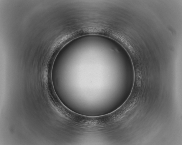 X0000115770631200911131218