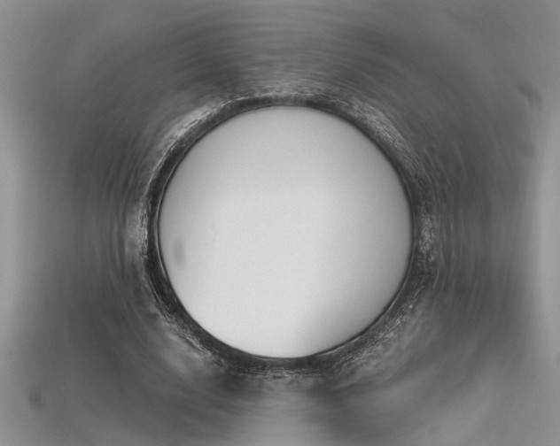 X0000115770632200911131218