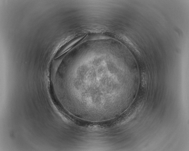 X0000115770634200911131218