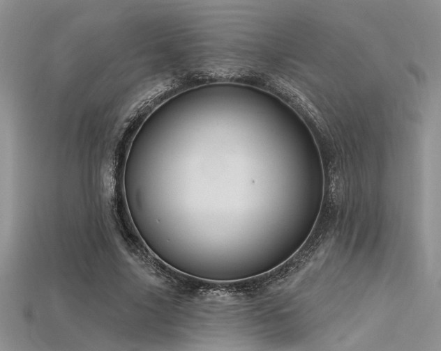 X0000115770635200911131218