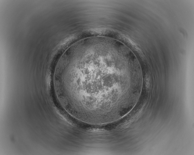 X0000115770637200911131218