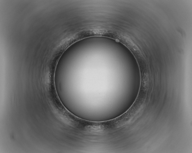 X0000115770639200911131218