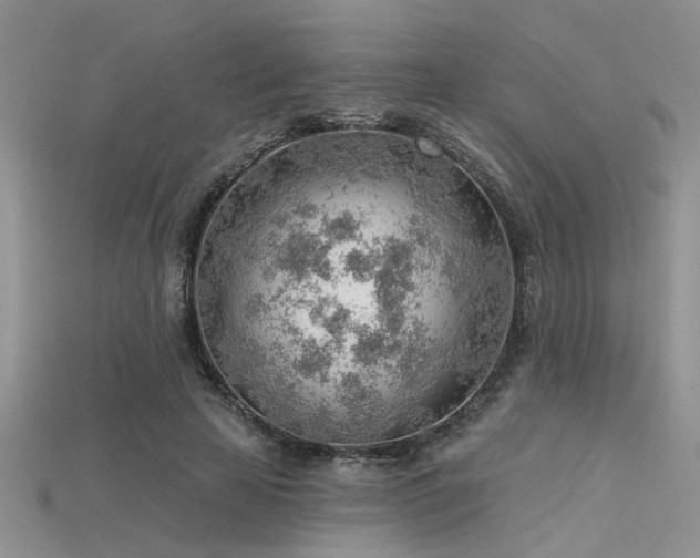 X0000115770641200911131218
