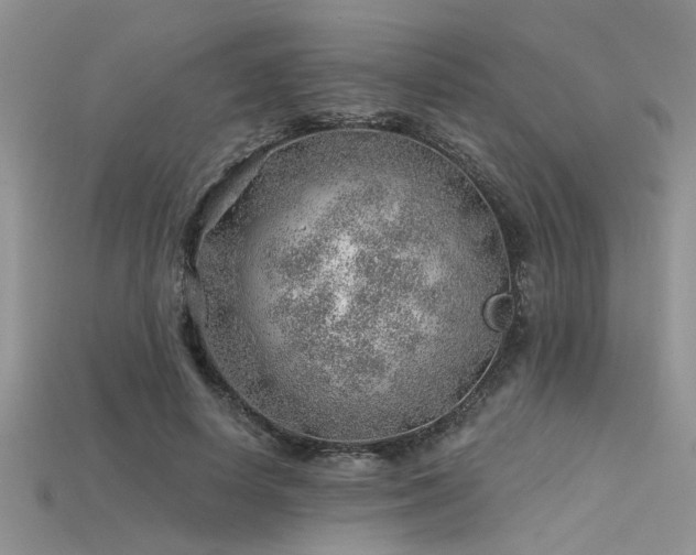 X0000115770642200911131218