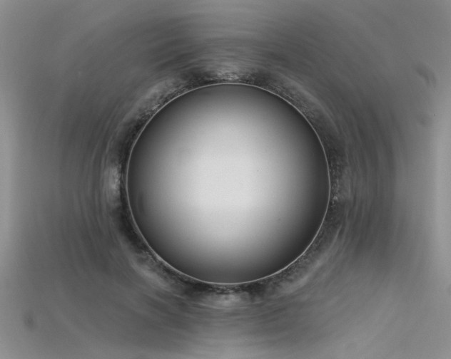 X0000115770646200911131218