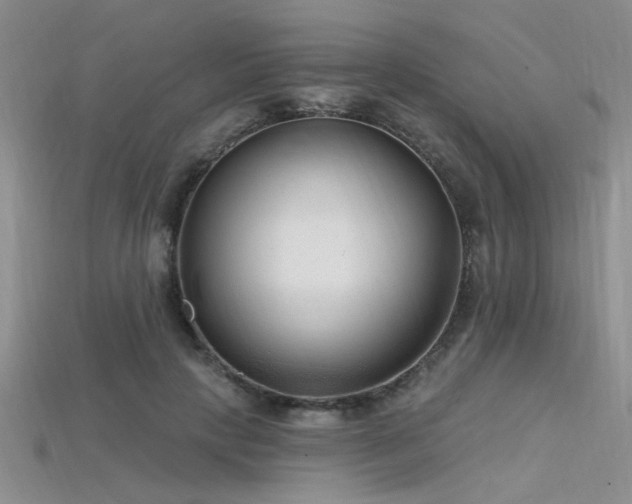 X0000115770649200911131218