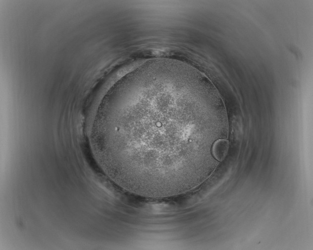 X0000115770650200911131218