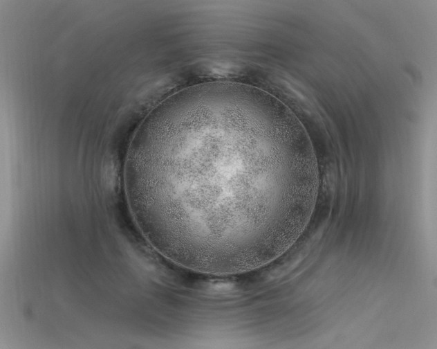 X0000115770651200911131218