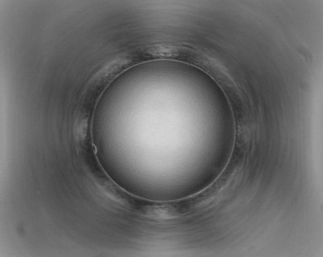 X0000115770652200911131218