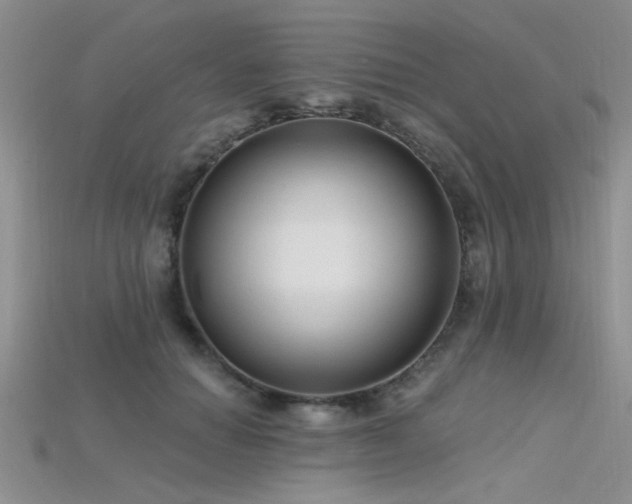 X0000115770654200911131218