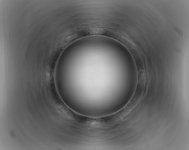 X0000115770655200911131218