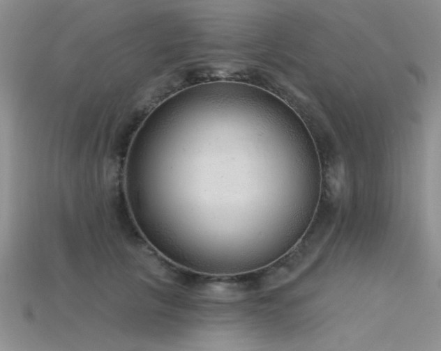 X0000115770657200911131218