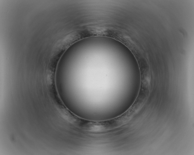 X0000115770658200911131218