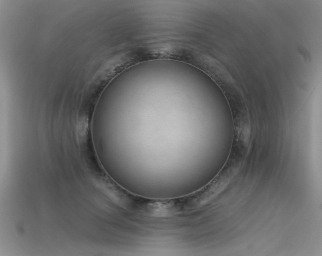 X0000115770660200911131218