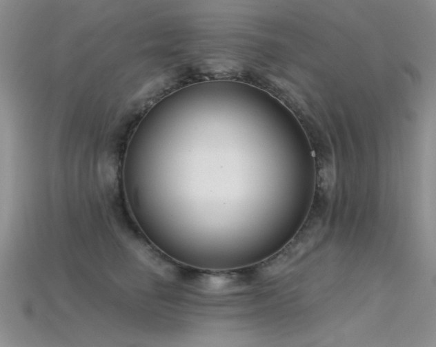 X0000115770662200911131218