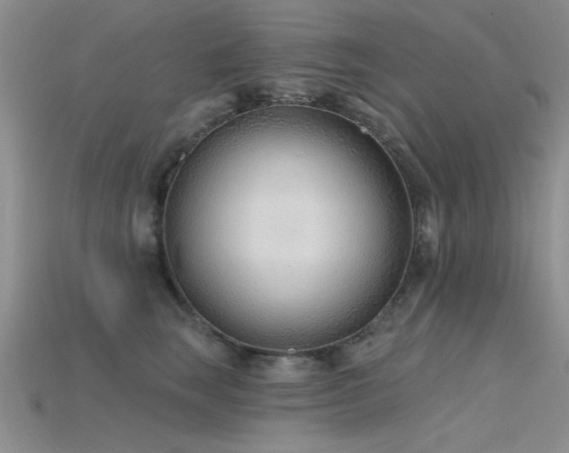 X0000115770663200911131218