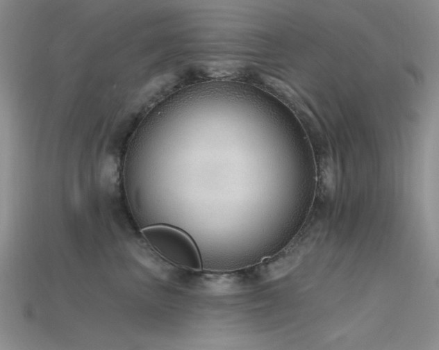 X0000115770667200911131218