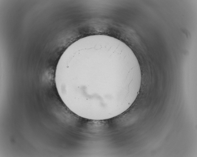 X0000115770672200911131218