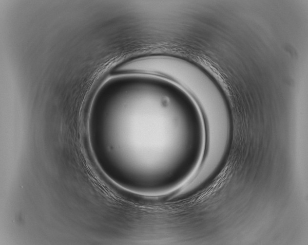 X0000115770673200911131218