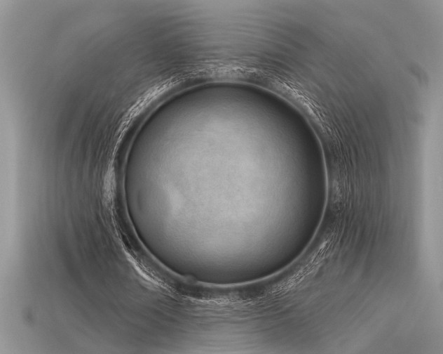 X0000115770674200911131217