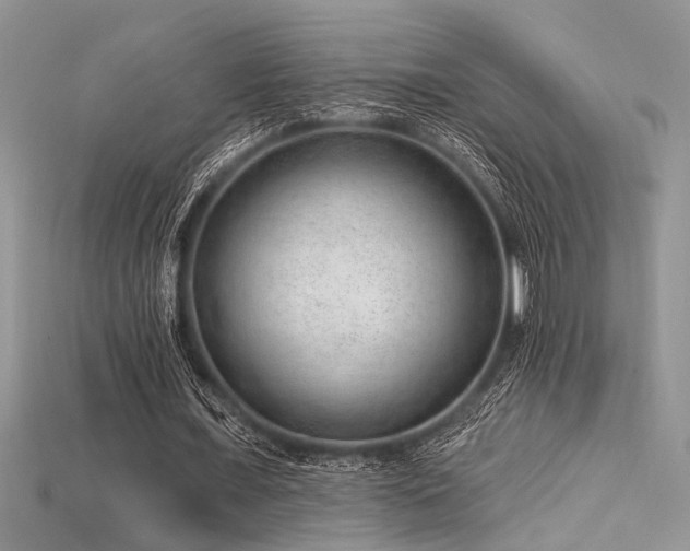 X0000115770675200911131217