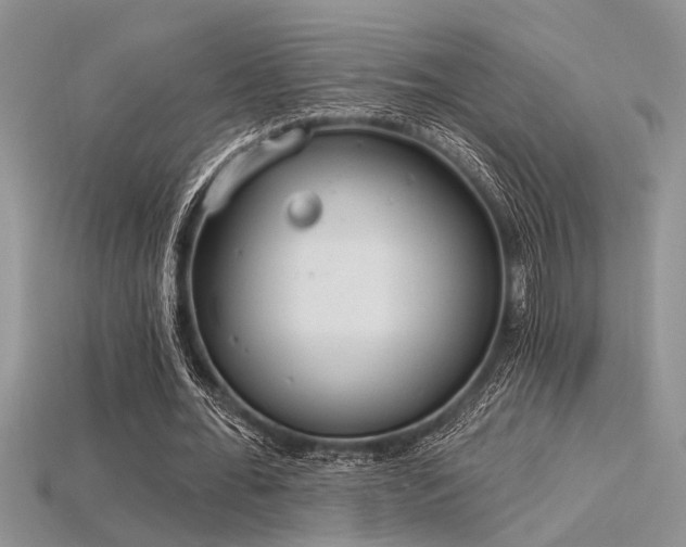 X0000115770676200911131217