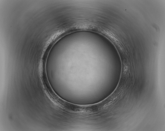 X0000115770678200911131217