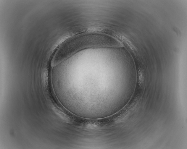 X0000115770684200911131217