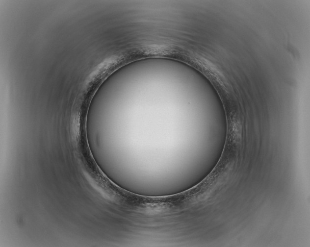 X0000115770686200911131217