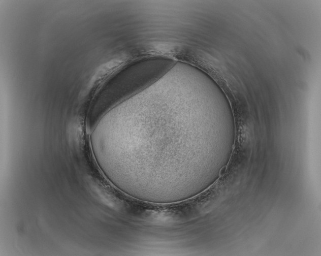 X0000115770688200911131217