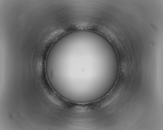 X0000115770690200911131217