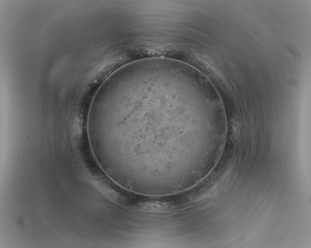 X0000115770691200911131217