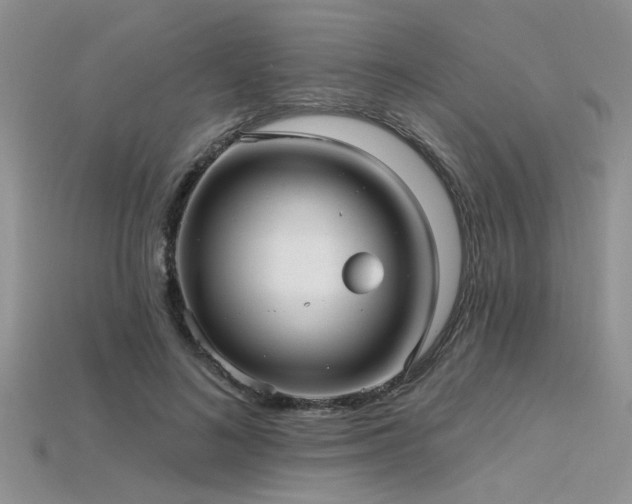 X0000115770692200911131217