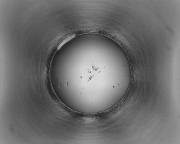 X0000115770693200911131217