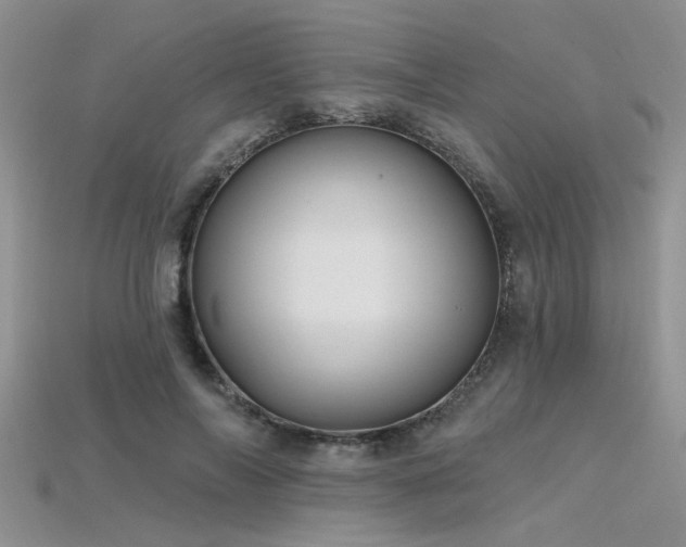 X0000115770694200911131217