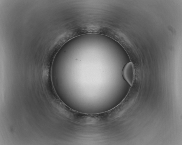 X0000115770697200911131217