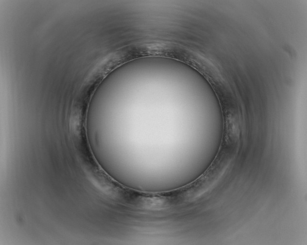 X0000115770698200911131217