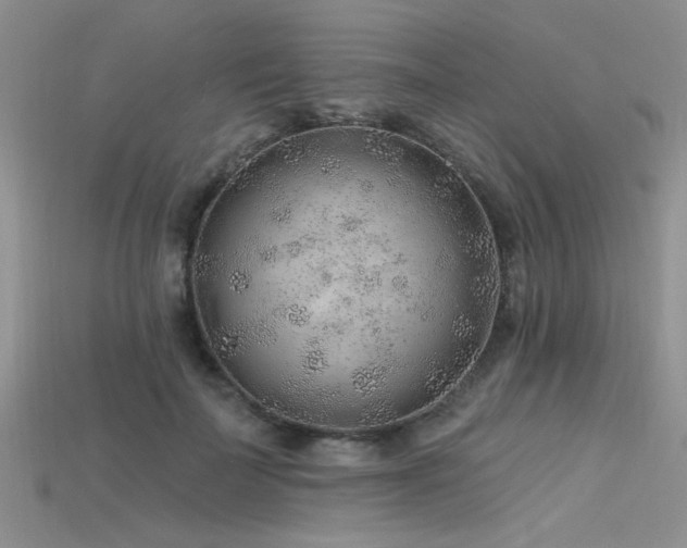 X0000115770699200911131217