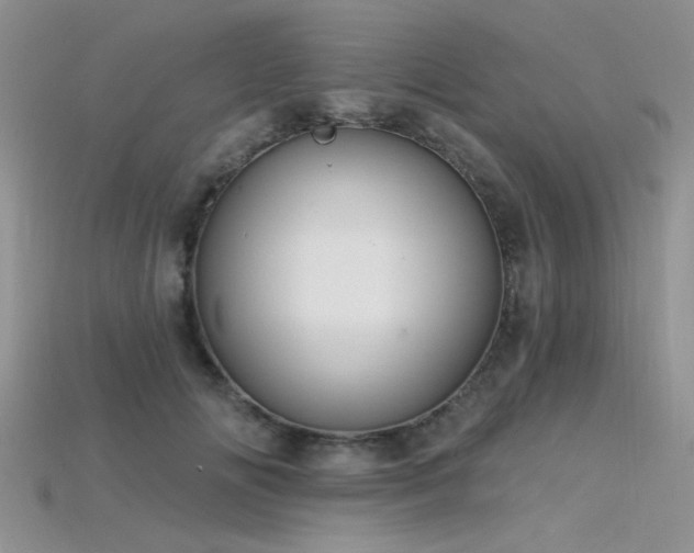 X0000115770702200911131217