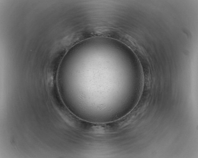 X0000115770703200911131217
