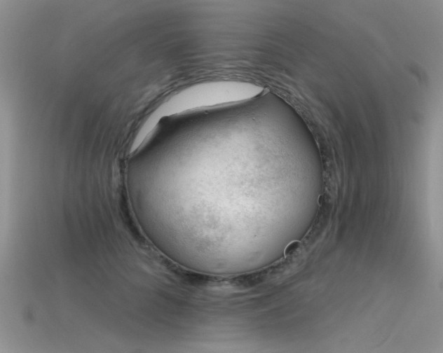 X0000115770704200911131217