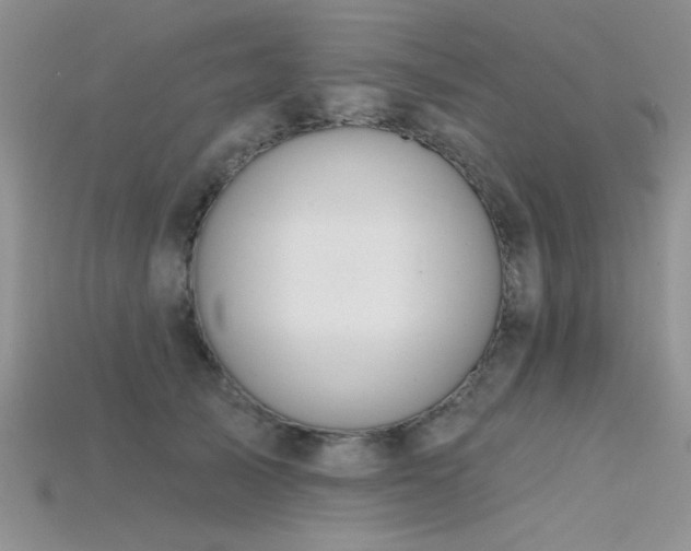 X0000115770705200911131217