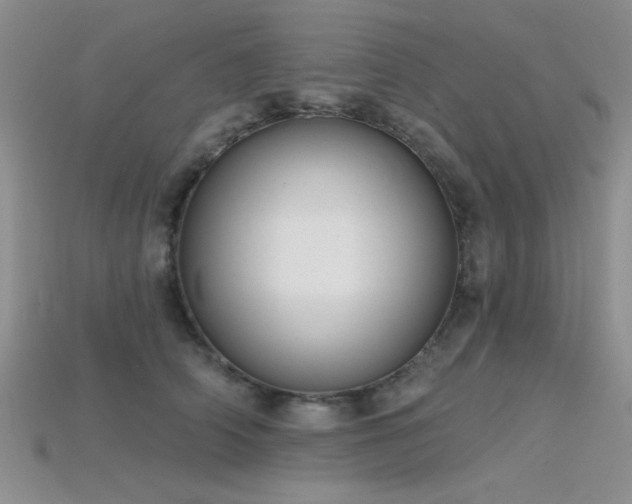 X0000115770706200911131217