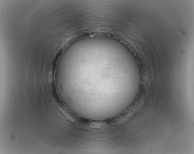 X0000115770708200911131217