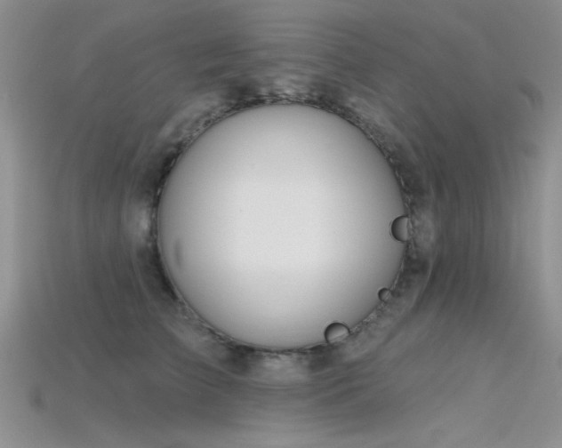 X0000115770709200911131217