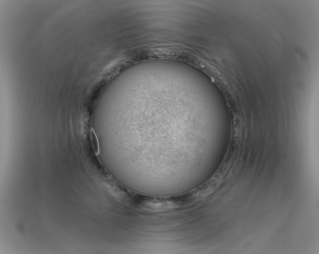 X0000115770712200911131217