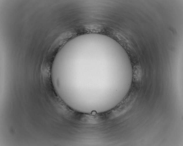 X0000115770713200911131217